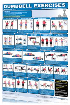 Poster DB Exercises Shoulders/Arms