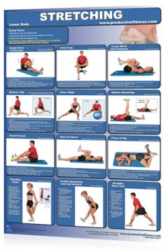Poster Stretching Lower Body
