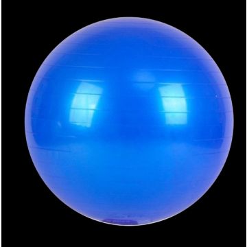 RT 55cm Exercise Ball 