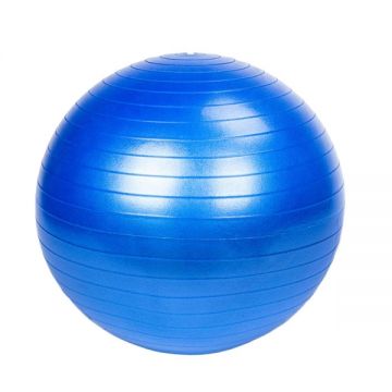 RT 65cm Ball
